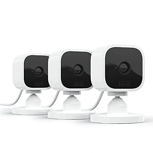The Blink Mini Camera